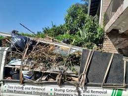Best Carpet Removal and Disposal  in Bamberg, SC